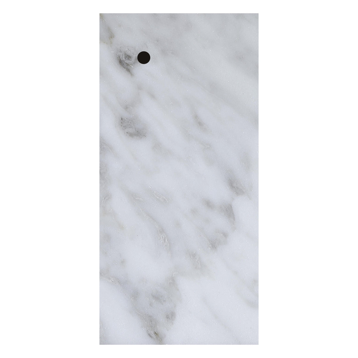 ST-100 [efl-trim-v1] [efl-trim-v2]
