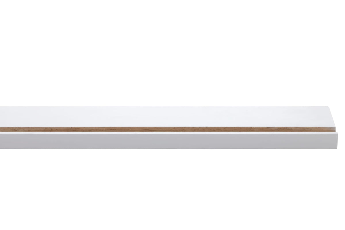 SW-REP2496-Panel