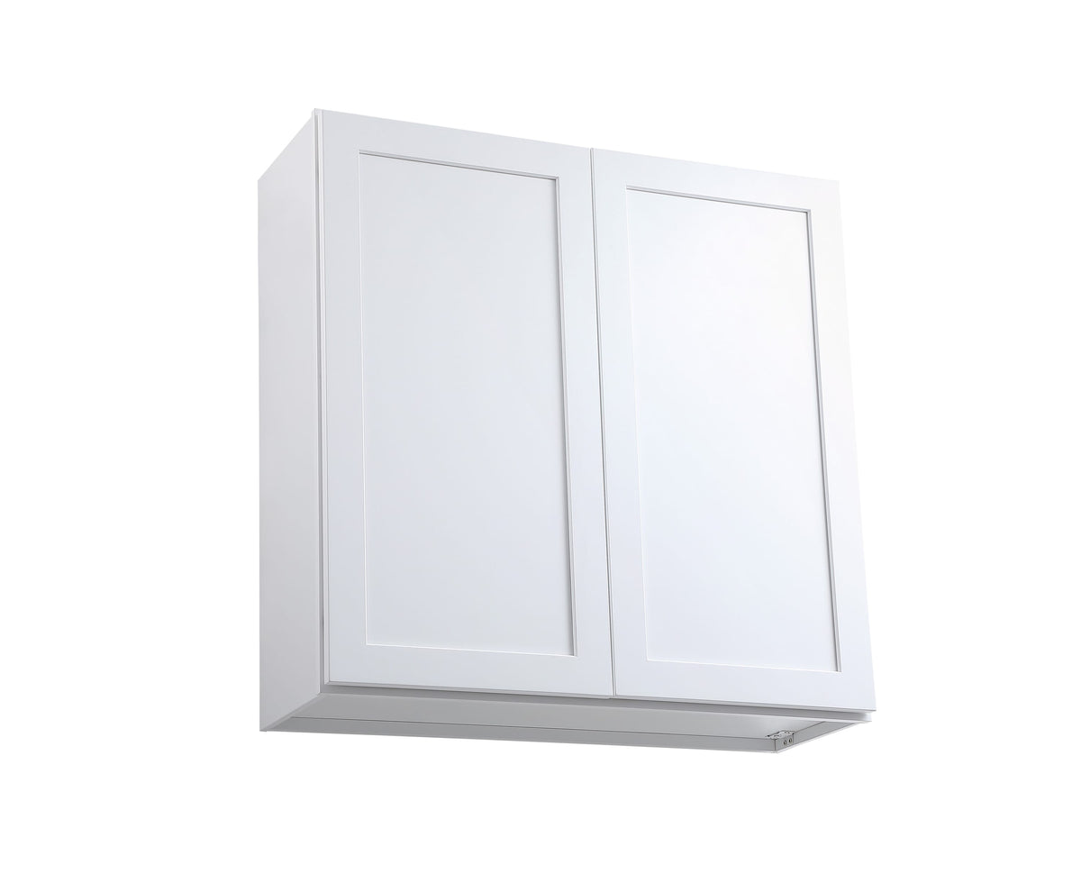 SWSK1-W3636