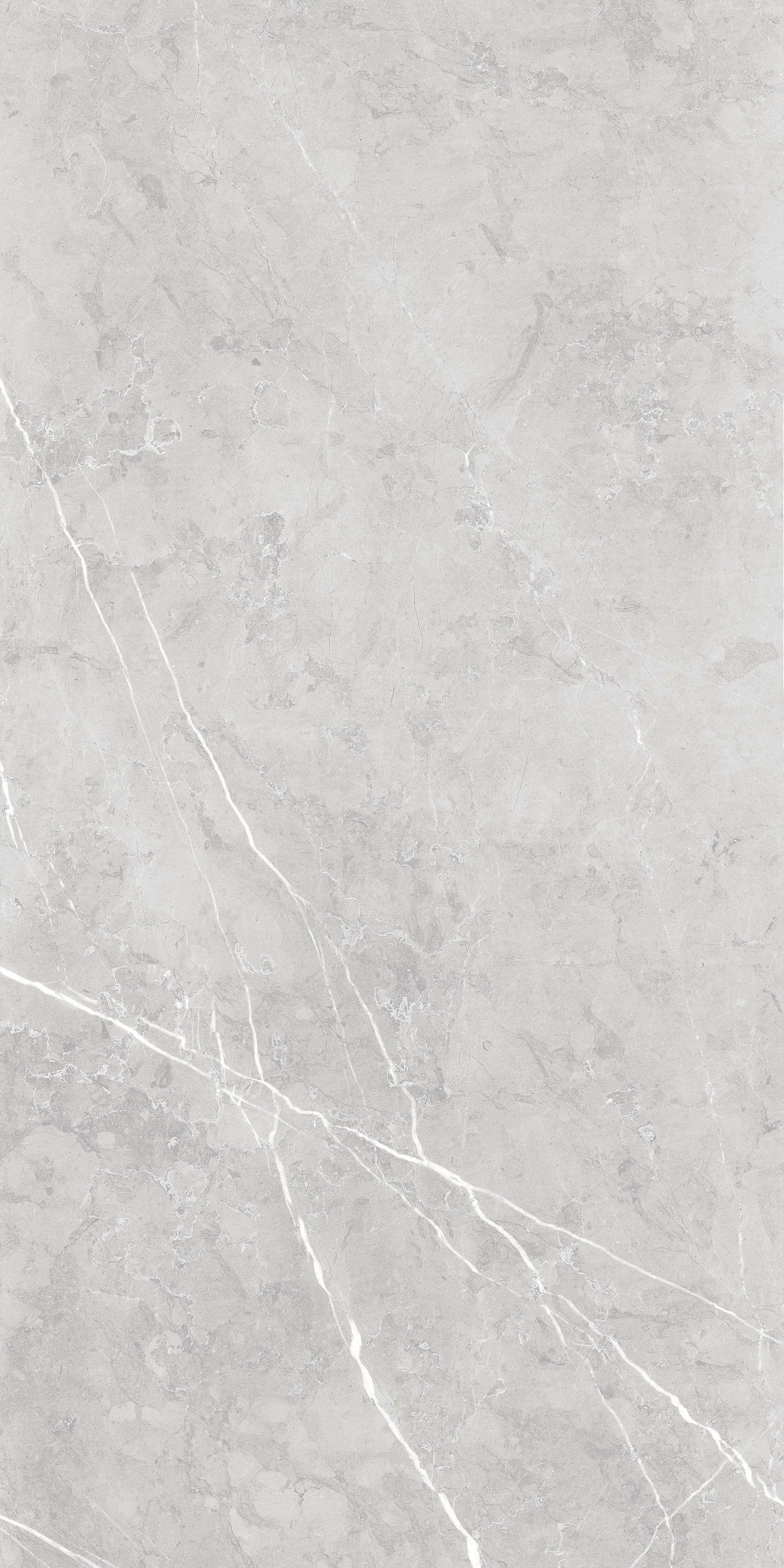 TAMAG2448G