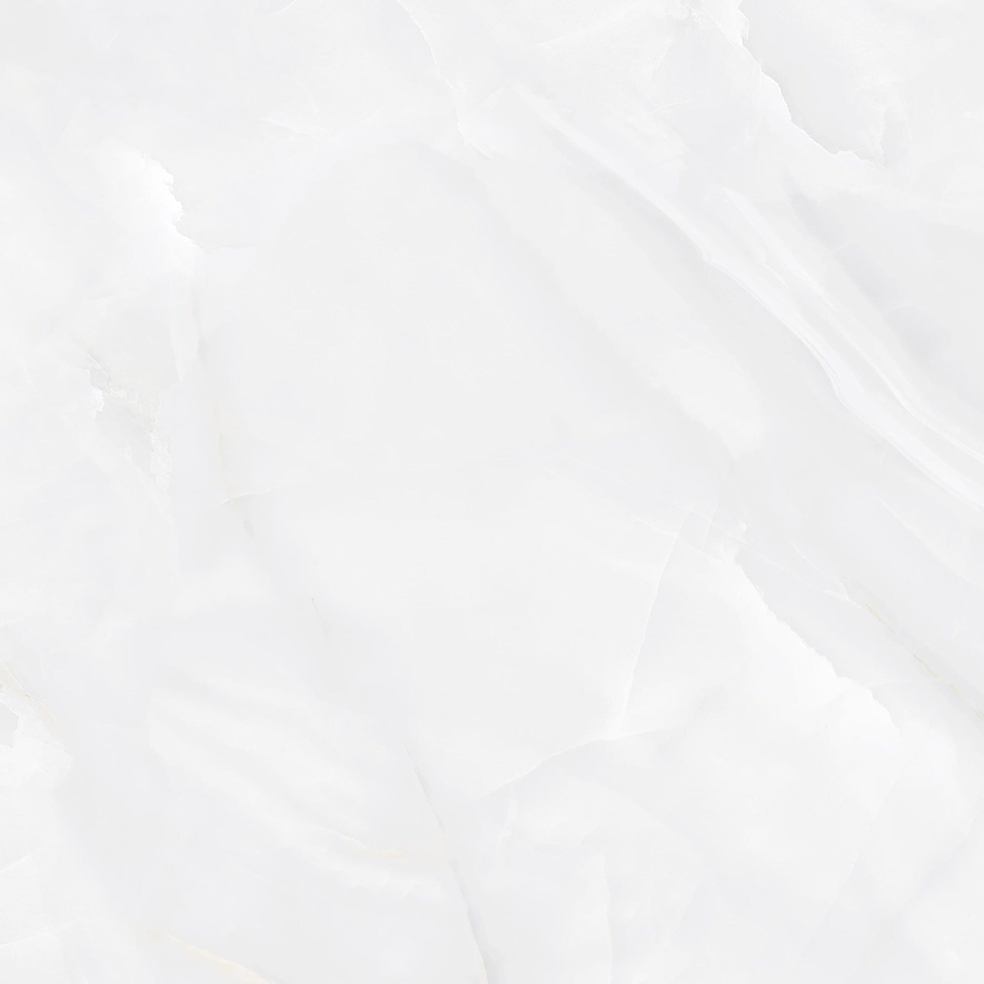TONYNE2424M [efl-trim-v1]