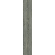  [efl-trim-v1]