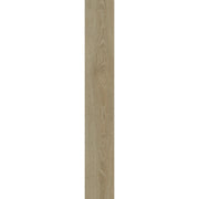  [efl-trim-v1]